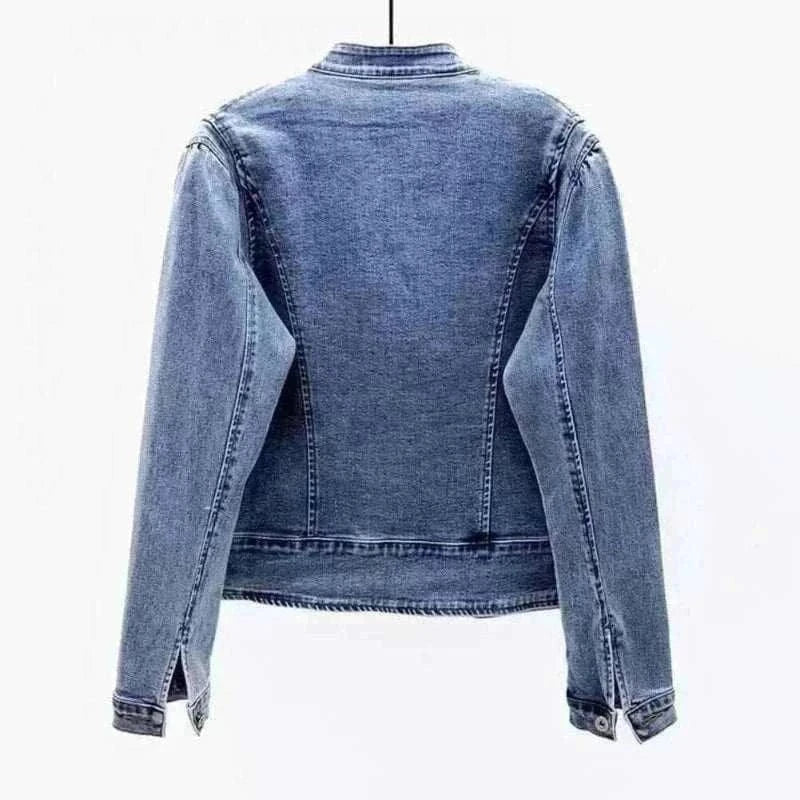 Butterfly Embroidery 2024 Short Denim Jacket Back View