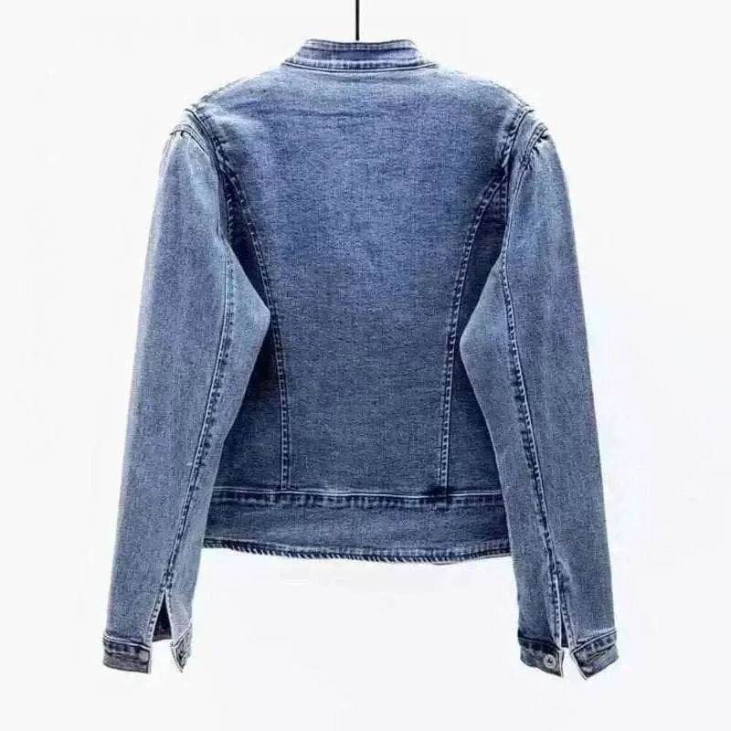 Butterfly Embroidery 2024 Short Denim Jacket Back View