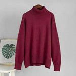 Women Wearing Sweater Autumn Winter New High Neck